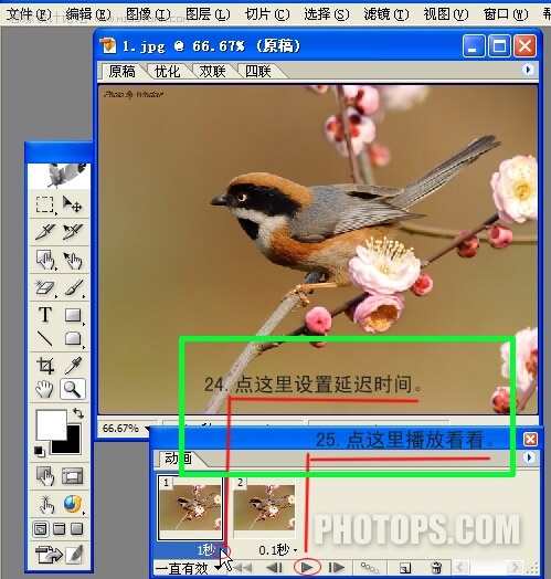 PhotoshopСʱĶ