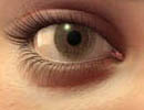 3DsMax̳̣Ů۽ëķ