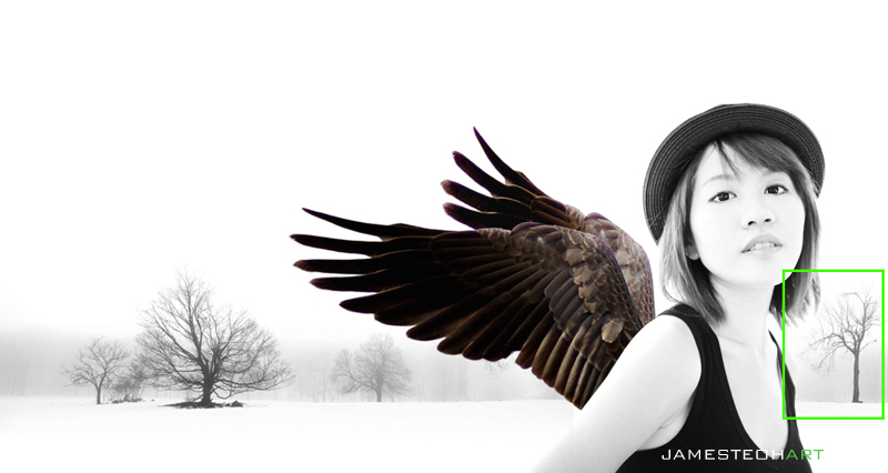 Photoshop合成梦幻般的天使女孩