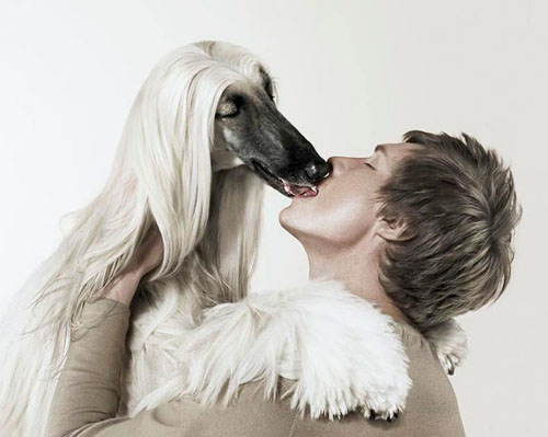 Christophe Huet ʦͼʦƷ