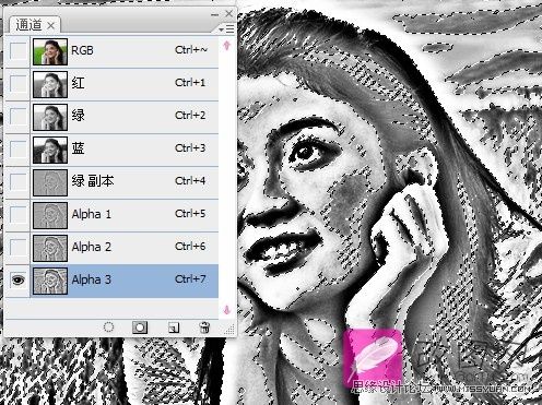 PhotoshopŮӨ͸Ƥ̳