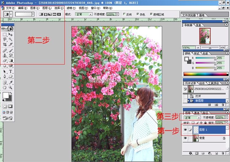 PhotoshopƬЧ