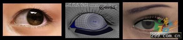 CG̳̣ɹʵͷģ