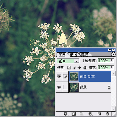 PhotoshopΪͨƬЧ