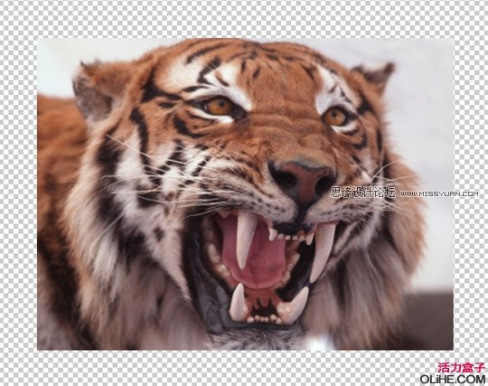 Photoshop񱩵ʨ̳