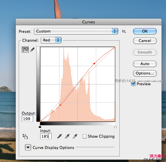 Photoshop CS5̳̣ʹʶ书ȥ