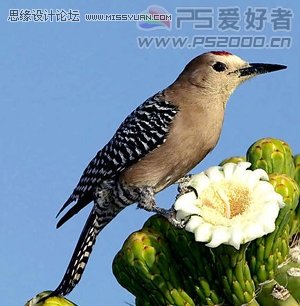 Photoshop CS5制作实景逼真的3D效果文字