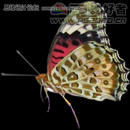 Photoshop CS5制作实景逼真的3D效果文字