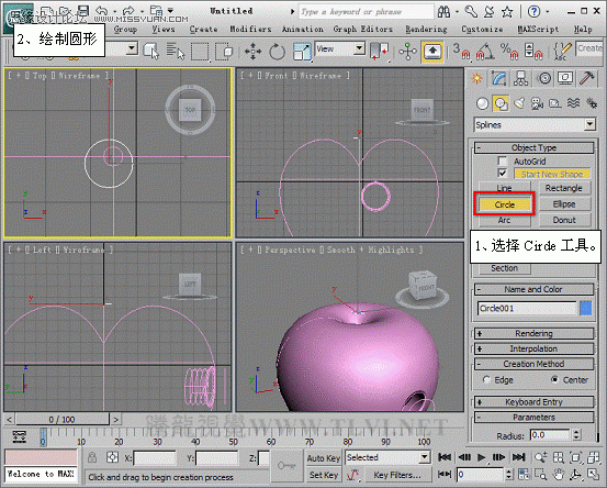 3D MAXʹNURBS̰Գ潨ģ