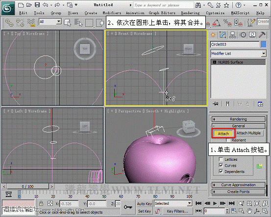 3D MAXʹNURBS̰Գ潨ģ