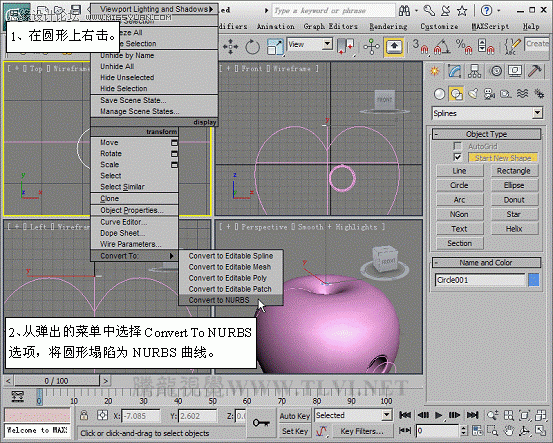 3D MAXʹNURBS̰Գ潨ģ