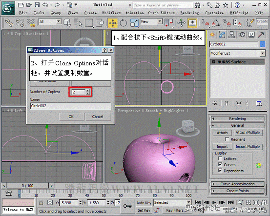 3D MAXʹNURBS̰Գ潨ģ