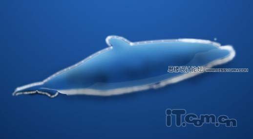Photoshop绘制可爱的卡通海豚教程