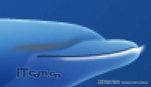 Photoshop绘制可爱的卡通海豚教程