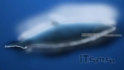 Photoshop绘制可爱的卡通海豚教程