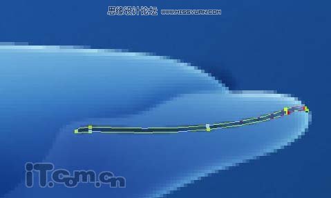 Photoshop绘制可爱的卡通海豚教程