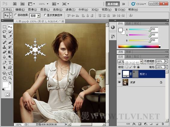 Photoshop̳̣λͼʸͼ