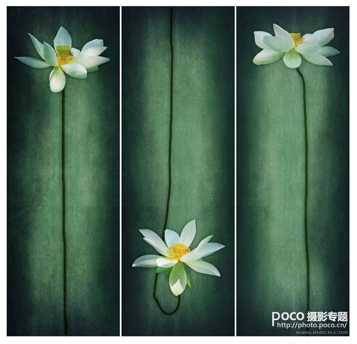 Photoshop画意荷花的后期实现与风格探索