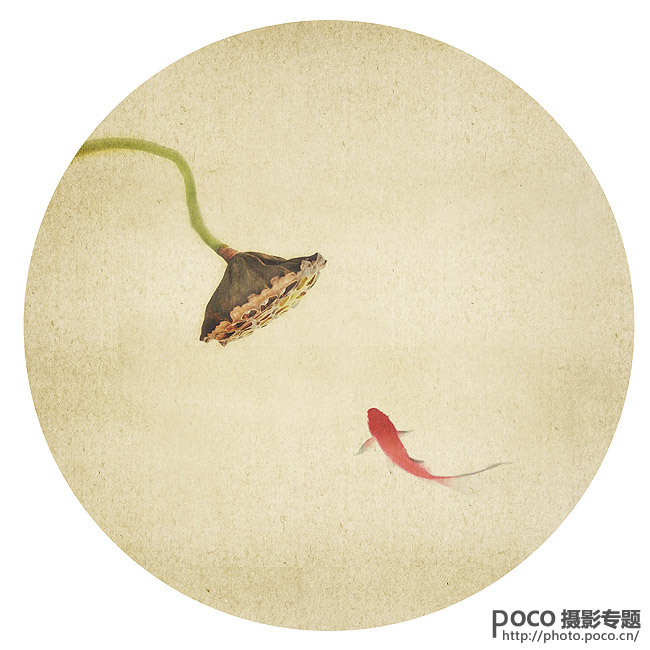 Photoshop画意荷花的后期实现与风格探索