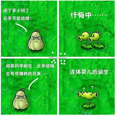 有人玩秘籍枪手植物人,过来一起v秘籍一下技单机游戏a秘籍僵尸2大战图片