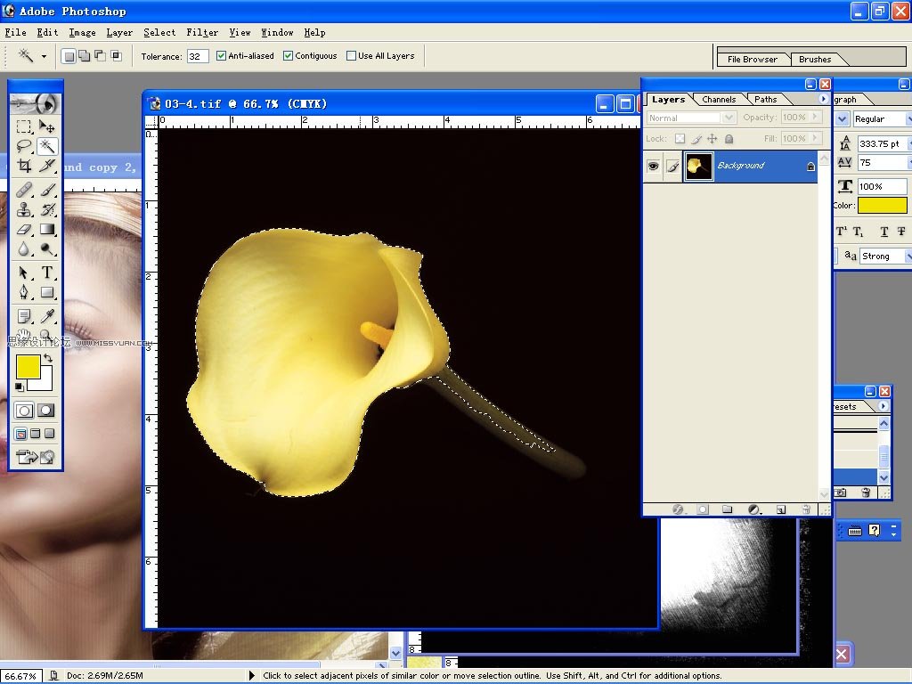 Photoshop为婚纱艺术照片添加艺术磨砂边框