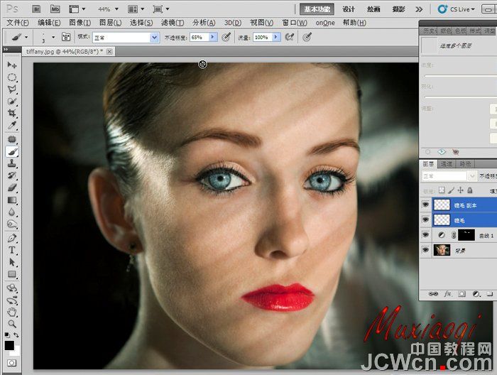 PhotoshopCS5Фν̳