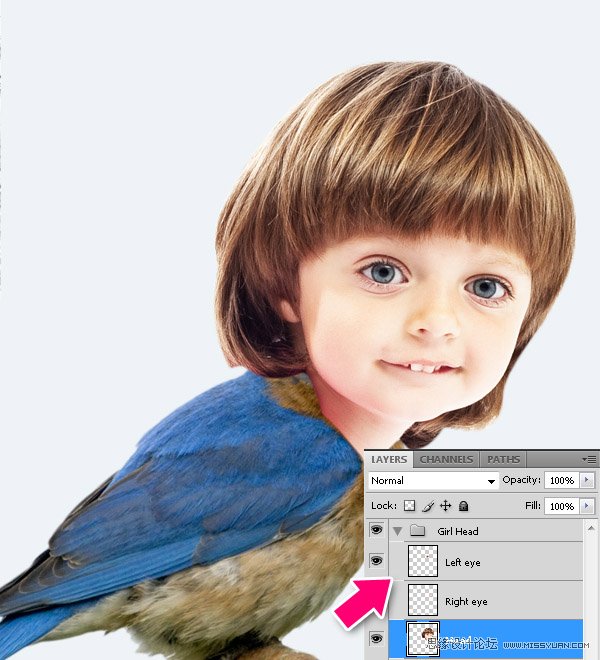 Photoshop合成教程:梦幻的小鸟女孩画像