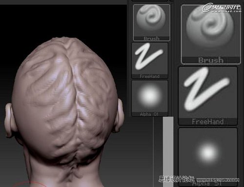 ZBrush̳̣дʵͷ