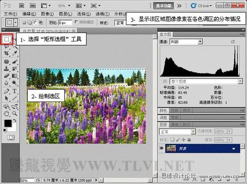 Photoshopʹֱͼͼɫ