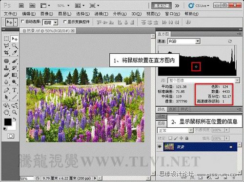 Photoshopʹֱͼͼɫ