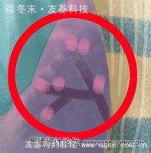 Photoshop绘制可爱的围红围巾的小女孩