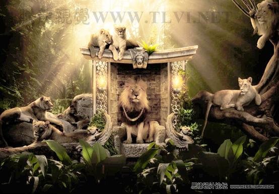 Photoshop CS5教程:解析色阶在图像调整中的作用