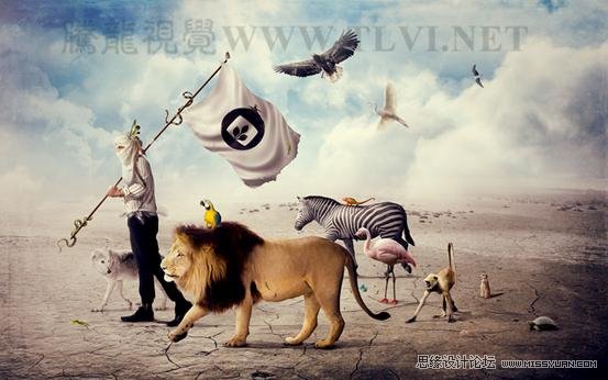 Photoshop CS5教程:解析色阶在图像调整中的作用