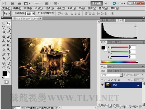 Photoshop CS5教程:解析色阶在图像调整中的作用