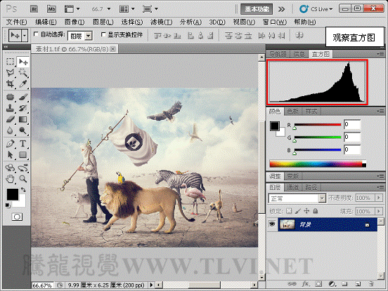 Photoshop CS5教程:解析色阶在图像调整中的作用