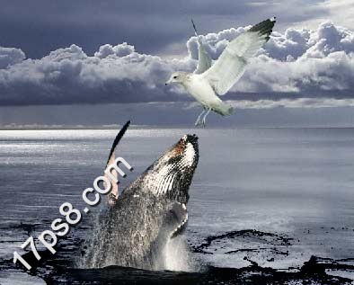 PhotoshopϳɾԾˮảŸʳ