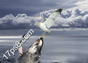 PhotoshopϳɾԾˮảŸʳ