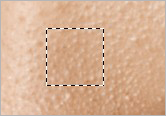 Photoshop޷ױƬЧ