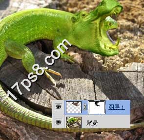 Photoshop合成可爱的河马头蜥蜴教程