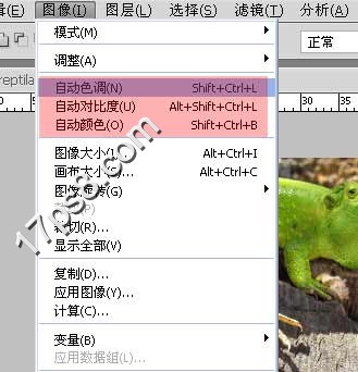Photoshop合成可爱的河马头蜥蜴教程