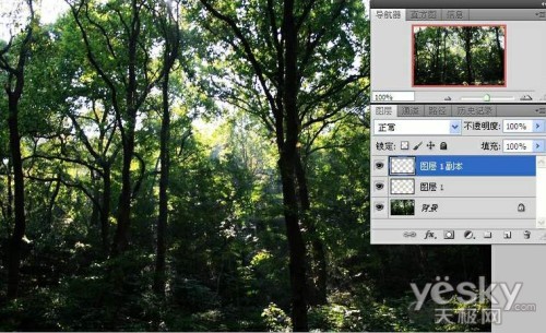 Photoshopе͸