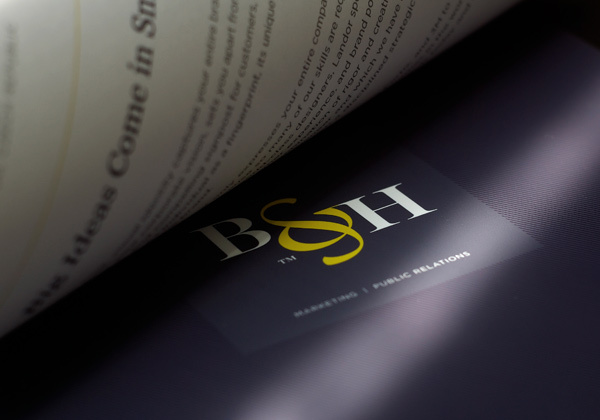 Brown & HbbsƷVI