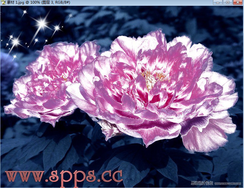 Photoshop制作漂亮的水晶牡丹花特效