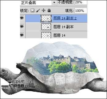 Photoshop打造公益性质的生态保护海报