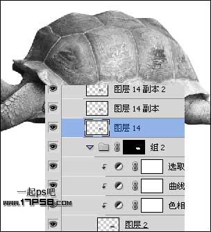 Photoshop打造公益性质的生态保护海报