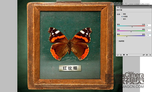 Photoshopϳɳڻĺ걾