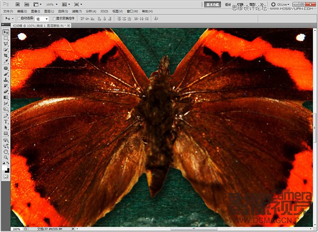 Photoshopϳɳڻĺ걾