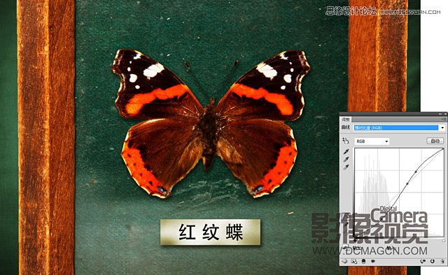 Photoshopϳɳڻĺ걾