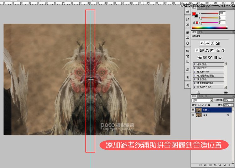 PhotoshopϳɴĴ󹫼