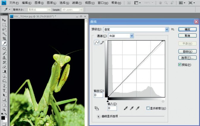Photoshop给摄影中的螳螂做后期修饰